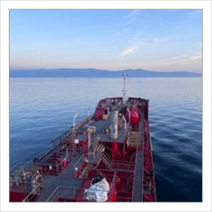 Marine ürünler