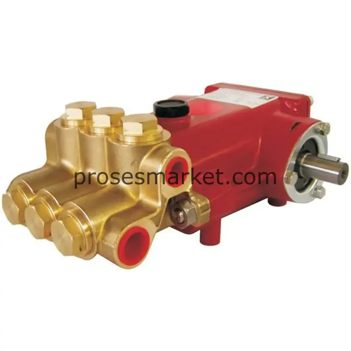 SPECK TRIPLEX P21/23-130 D Yüksek Basınç Pompası