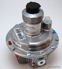 DUNGS FRNG 503 3/8''' EŞİT BASINÇ REĞÜLATÖRÜ 500 MBAR