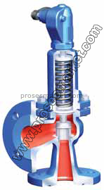 Pn 40 DN 32 Oransal Kalkışlı Emniyet Ventili