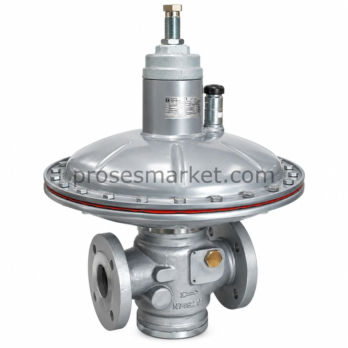 Fiorentini NORVAL 50 DN50 Gaz Regülatörü
